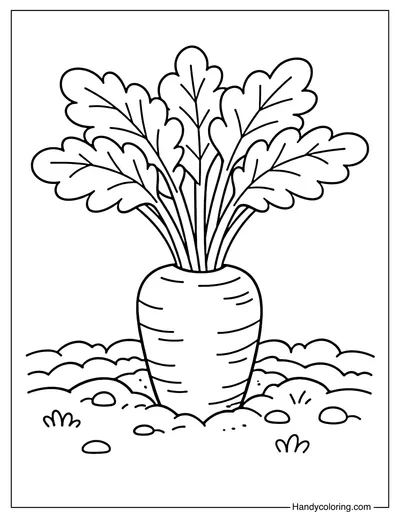 A Growing Carrot