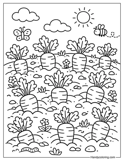 A Small Carrot Garden