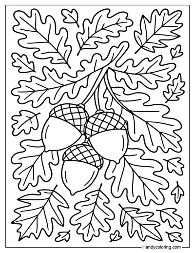 Acorn and Leaves Coloring Page