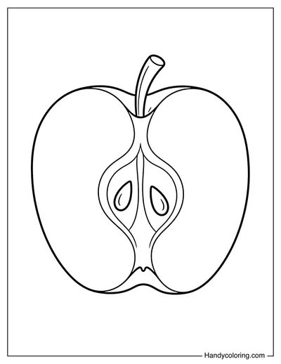 Apple Cut in Half