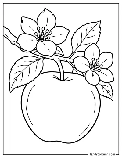 Apple with Blossoms