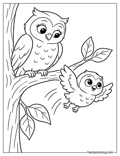Baby Owl Learning to Fly with Mother Owl