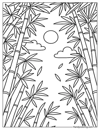 Bamboo Grove Upview Coloring Page