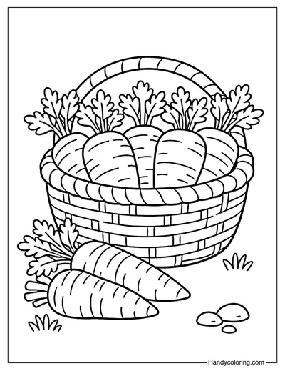 Basket of Fresh Carrots
