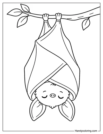 Bat Wrapped in Its Wings
