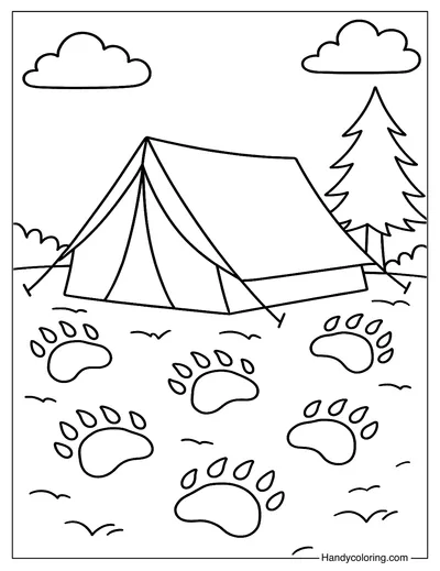 Bear Tracks Near Tent Page