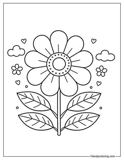 Big Flower of May