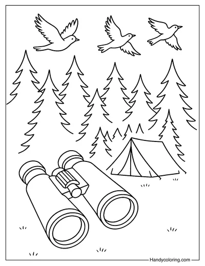 Binoculars and Bird Watching Page