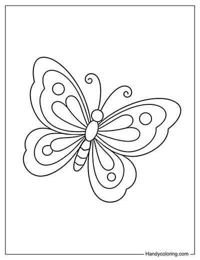 Butterfly Flying Sideways