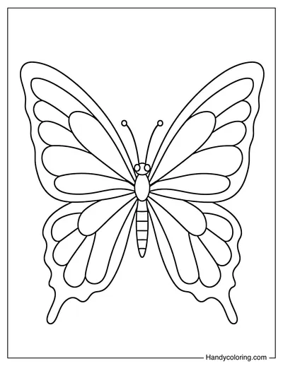 Butterfly with Large Wings