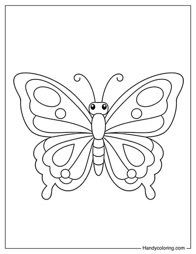Butterfly with Patterned Wings