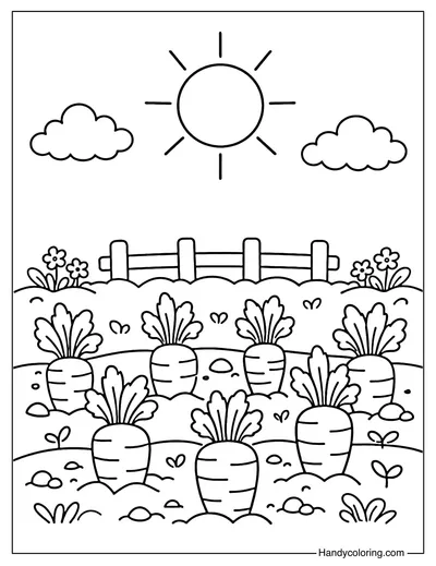 Carrot Garden with Sun