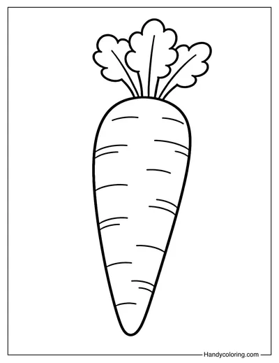 Carrot Outline