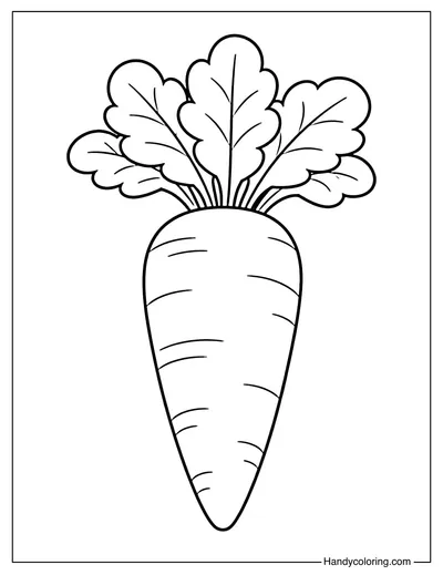 Carrot with Big Leaves