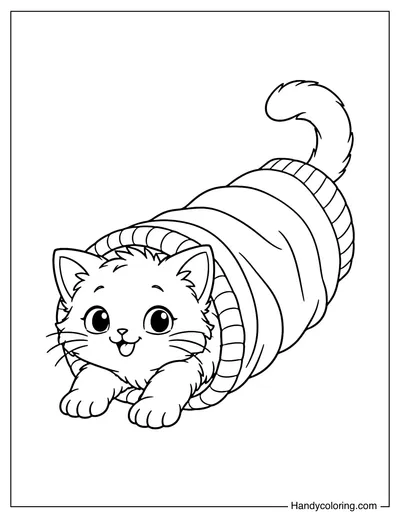 Cat Crawling Through a Sweater Sleeve