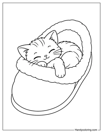 Cat Sleeping Inside a Giant Slipper