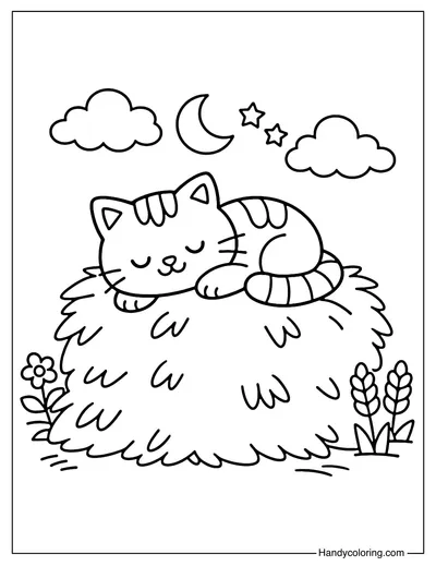 Cat Sleeping on Hay