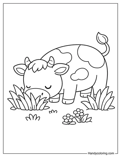 Cow Eating Grass