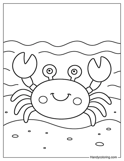Crab Walking on the Beach Sand