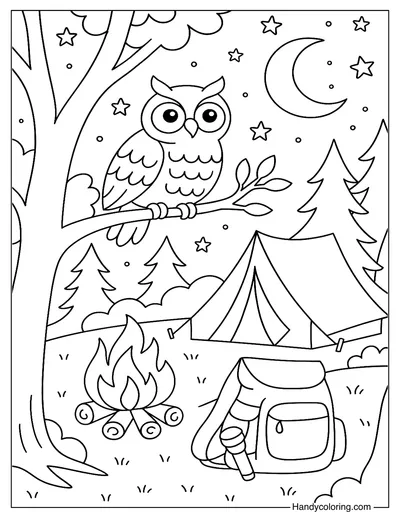 Cute Owl Watching Campers Page