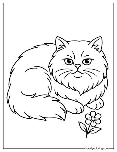 Cute Persian Cat Coloring Page