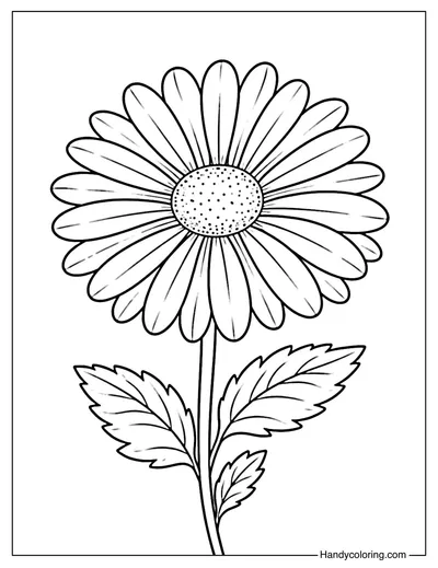 Daisy Flower Coloring Page