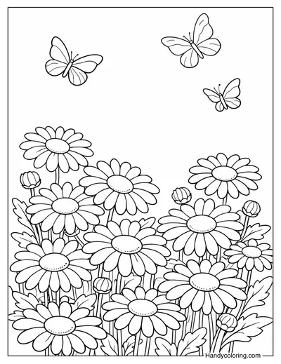 Daisy Flower Garden with Butterflies Coloring Page