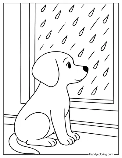 Dog Sitting by the Window Watching the Rain