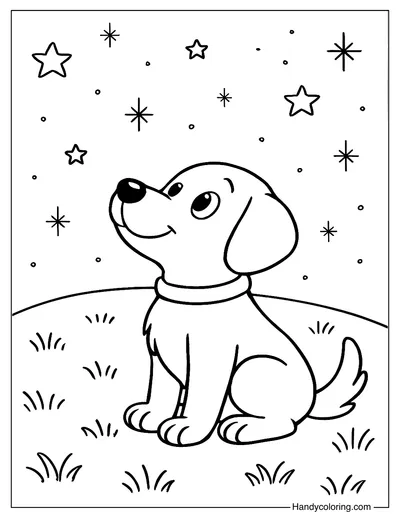 Dog Sitting on the Grass Watching the Stars Coloring Page