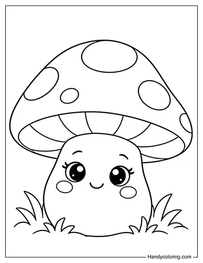 Doll Eyed Mushroom with Curved Eyelashes