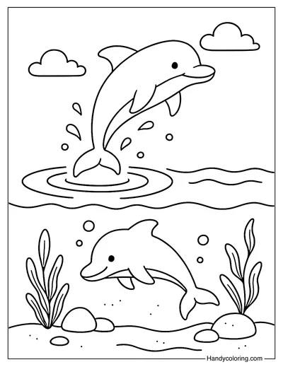 Dolphin Jump and Splash Coloring Page