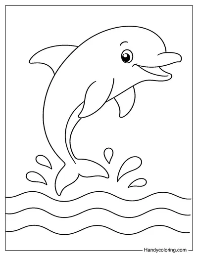Dolphin Jumping Over Waves