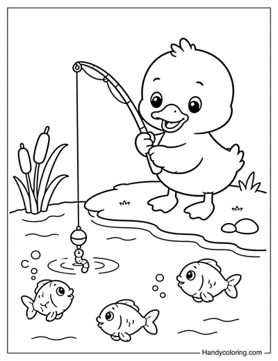 Duck Fishing with Small Rod on Pond