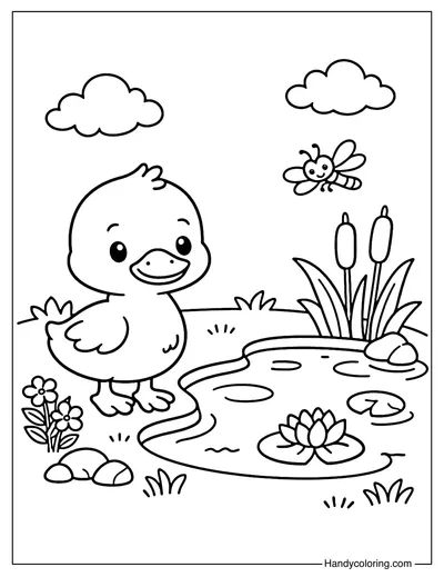 Duck Near Water