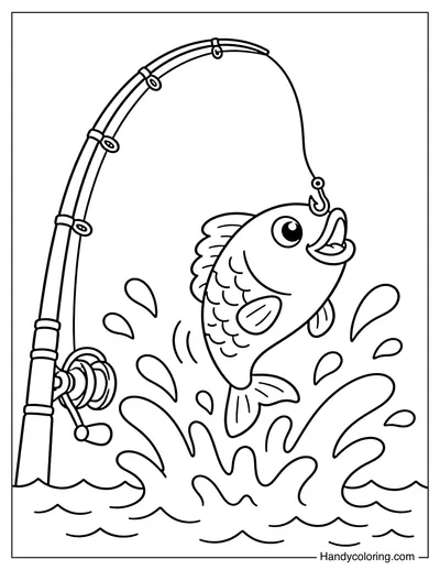 Fish Jump Splash Attack Fishing