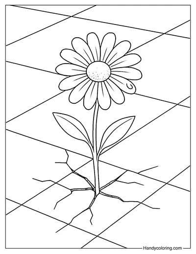 Flower in the Crack Coloring Page
