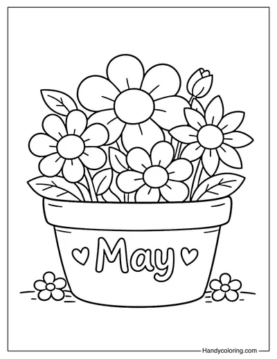 Flower Pot of May