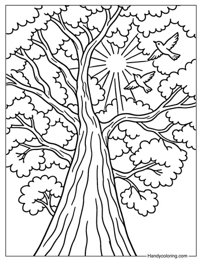 Forest Canopy Coloring Page