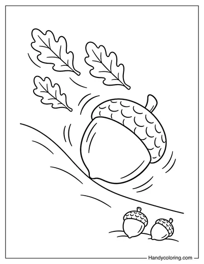Giant Acorn Rolling Down Autumn Hill