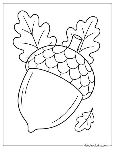 Giant Acorn with Oak Leaves