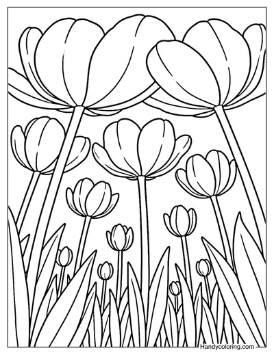 Giant Tulips Upview Coloring Page