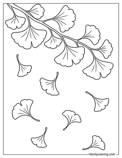 Ginkgo Leaves Falling from a Branch