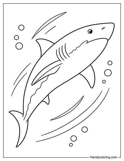 Great White Shark Power Swim