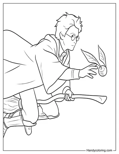 Harry Potter Catching the Golden Snitch
