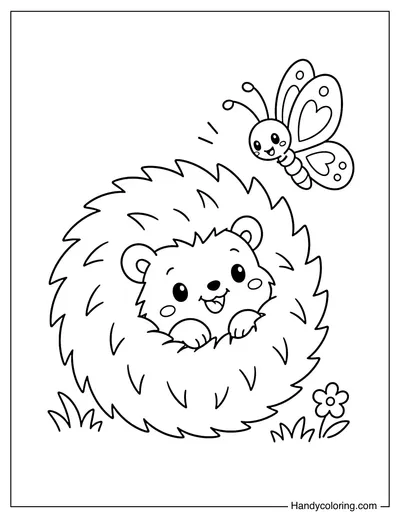 Hedgehog Curling into a Ball