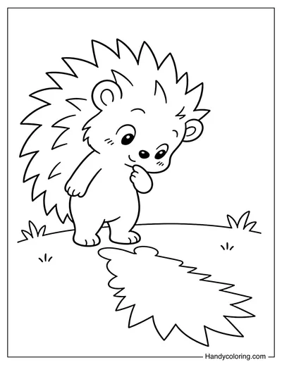 Hedgehog Looking at Its Spiky Shadow