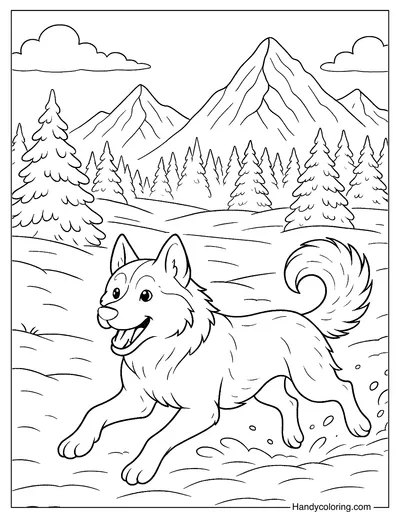 Husky In Winter Snow Coloring Sheet