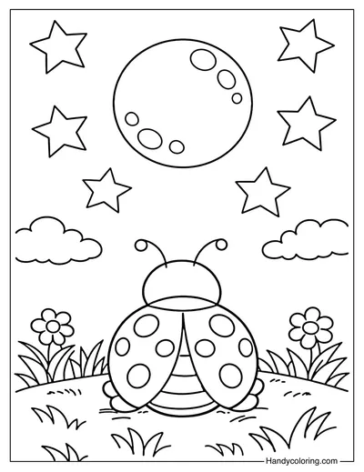 Ladybug At The Starry Night
