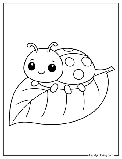 Ladybug on a Leaf Coloring Book