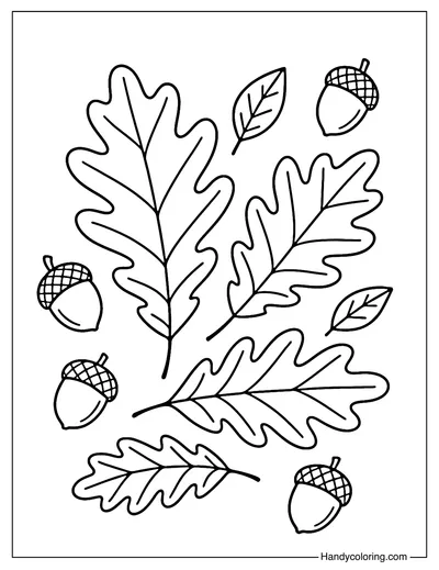 Leaf with Acorns Coloring Page